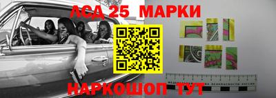 молекула духа Новозыбков