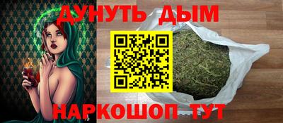 молекула духа Новозыбков