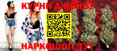молекула духа Новозыбков