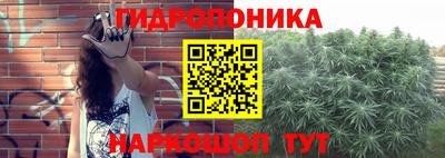 прущая мука Новодвинск