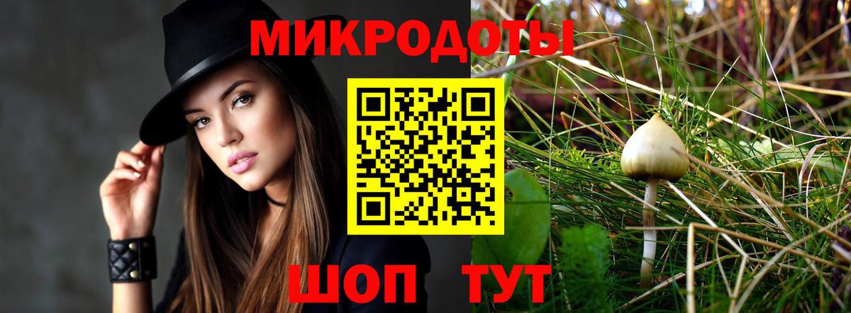 Родники  Галлюциногенные грибы Psilocybine cubensis  Вход с VPN 