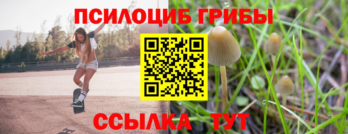 Галлюциногенные грибы GOLDEN TEACHER Родники