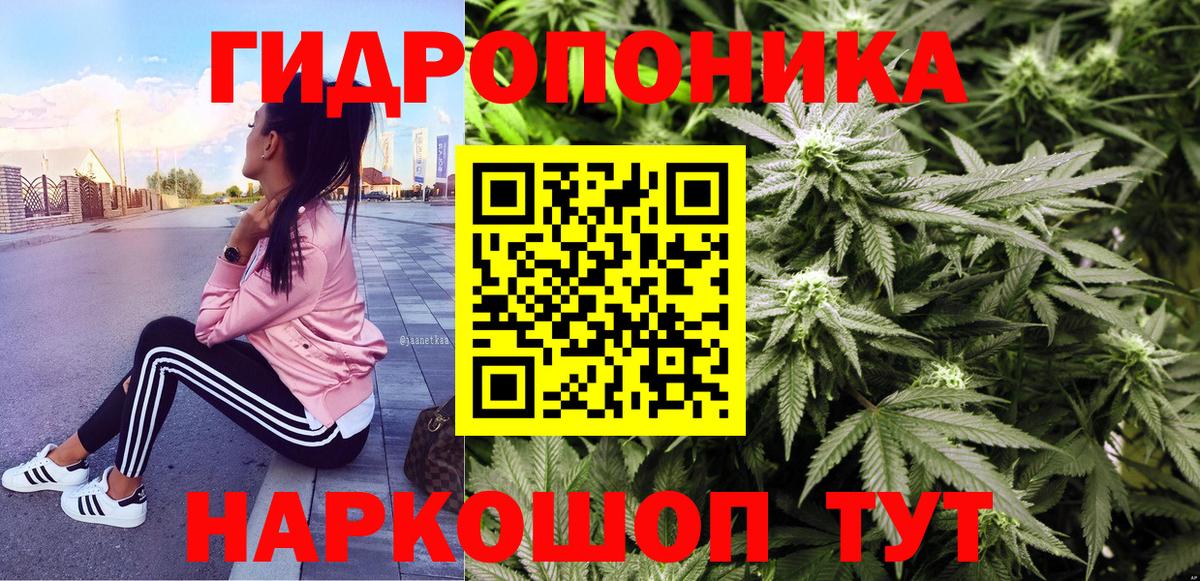 Каннабис конопля Родники